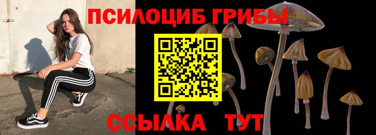 Хасавюрт  Псилоцибиновые грибы прущие грибы  Вход с VPN 